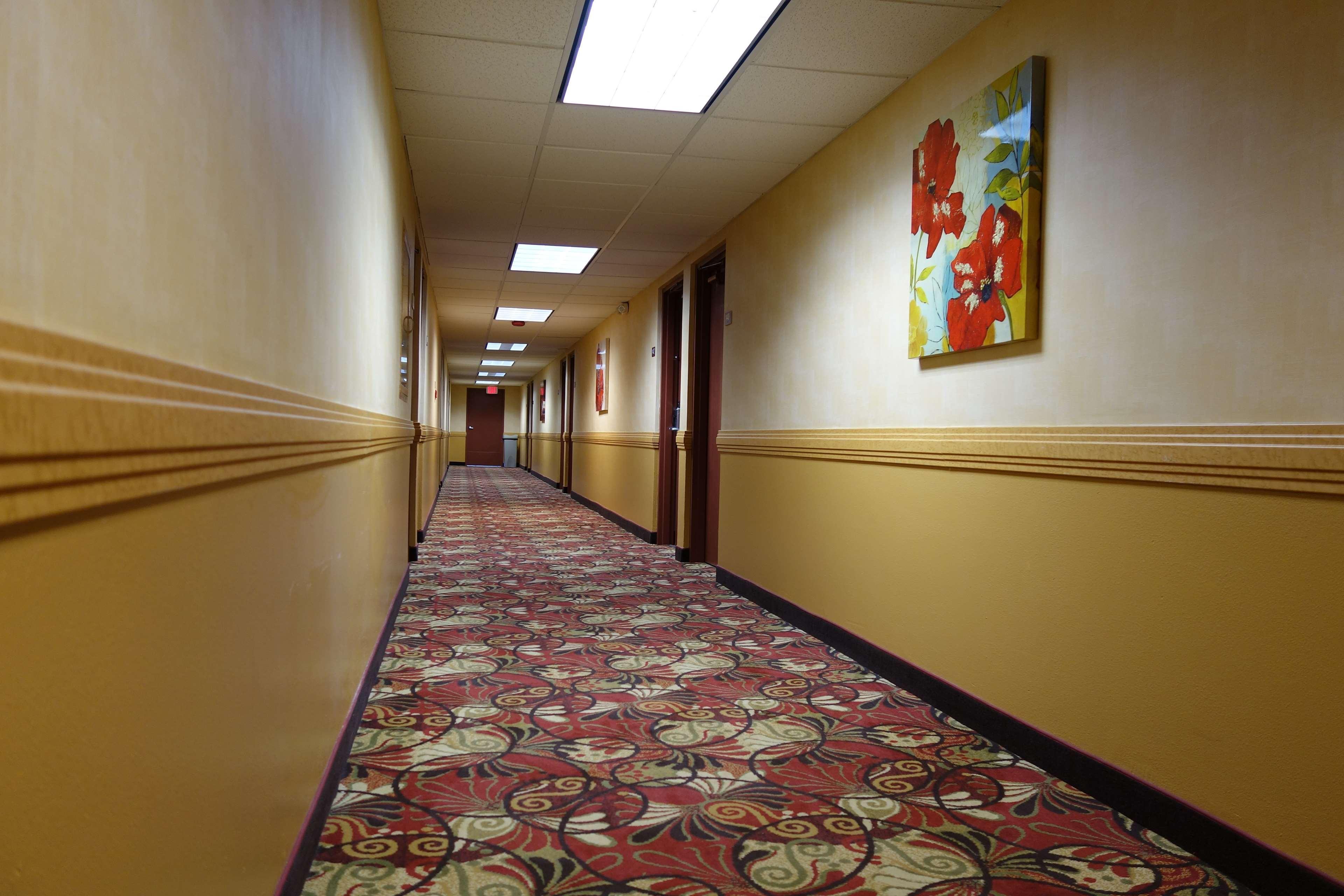 Готель Ramada By Wyndham Sacramento North Highlands Екстер'єр фото
